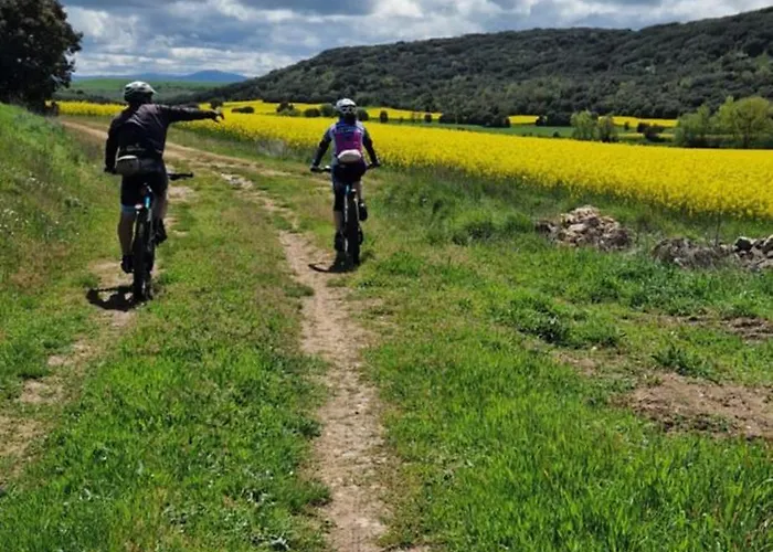 Дом отдыха Pilones