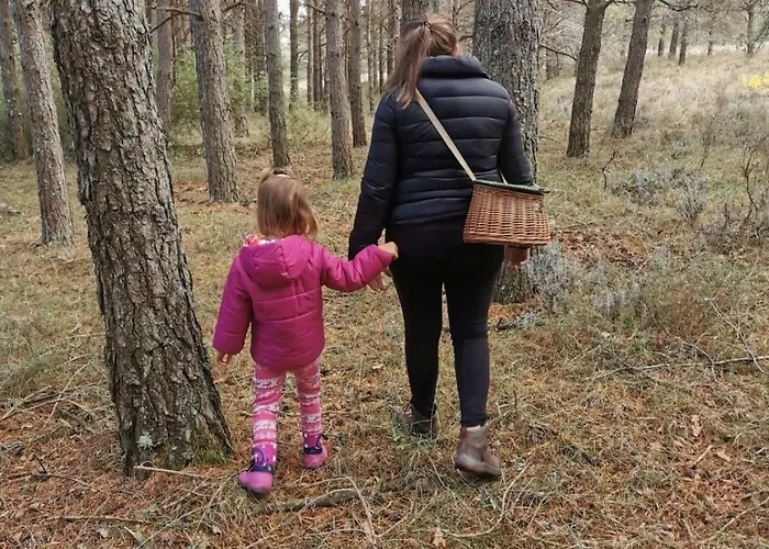 Дом отдыха Pilones